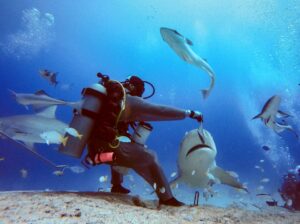 Hai-Begegnung unter Wasser: Was du wissen musst – Mythen, Fakten und Verhalten