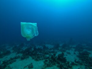 Unterwasser-Müllsammelaktion: Wie Taucher aktiv Meeresschutz betreiben