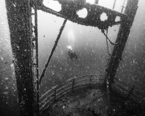 Tauchen in der Ostsee: Wrack-Tauchen, Kaltwasserspots und die besten Tauchbasen