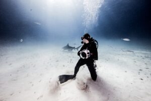 Unterwasserkamera-Test 2025: Von der GoPro bis zur Profi-DSLR im Gehäuse
