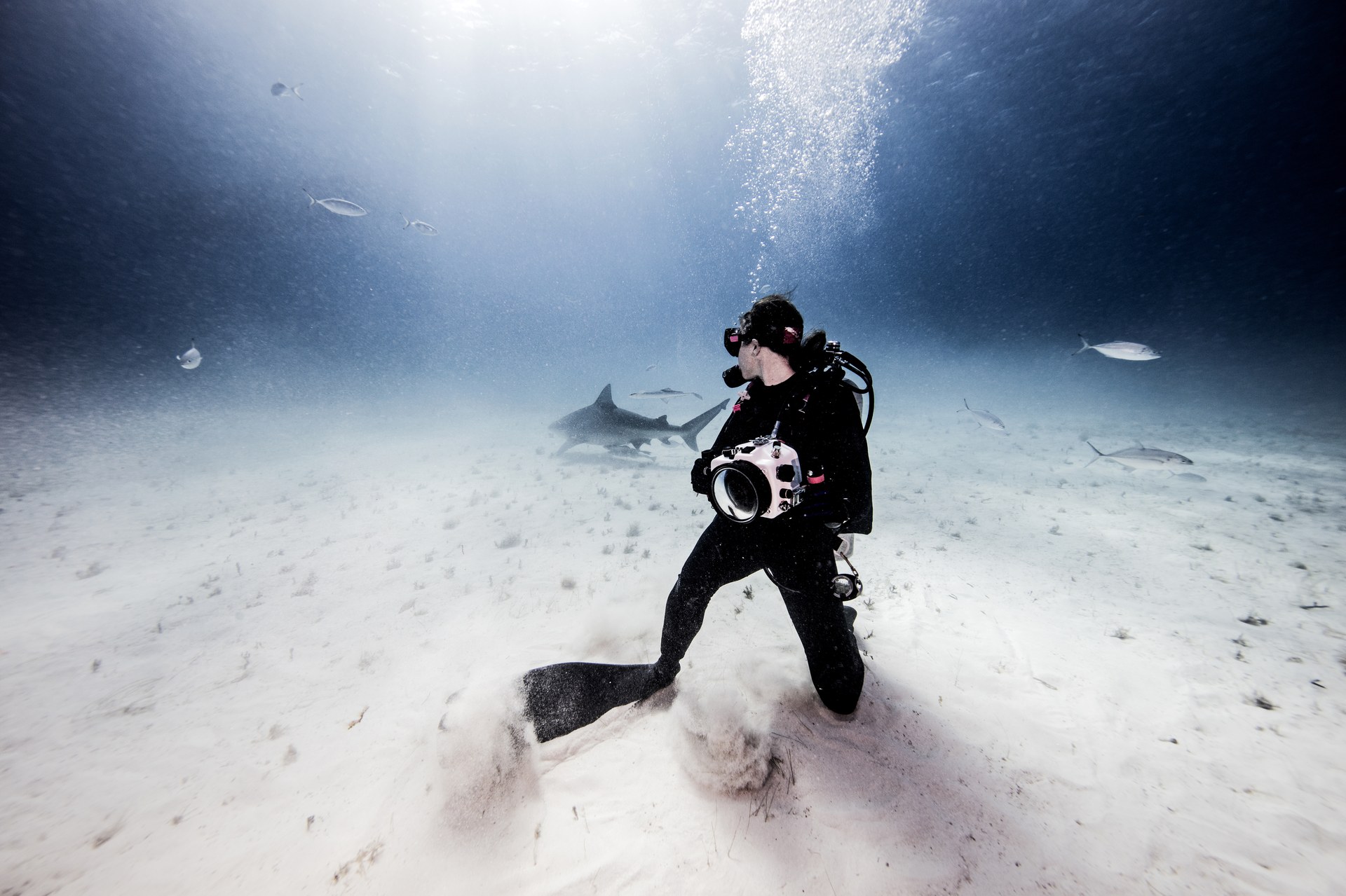 Unterwasserkamera-Test 2025: Von der GoPro bis zur Profi-DSLR im Gehäuse